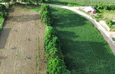 Imagem: A fazenda possui 5600m² de Área e está localizado em Área