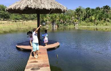 Imagem 10: Fazenda 42 alqueires. 42m² de Área Privada