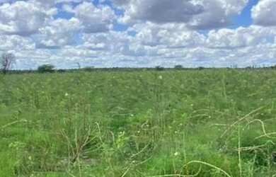 Imagem 4: Oportunidade de Fazenda na Região de Santa Terezinha