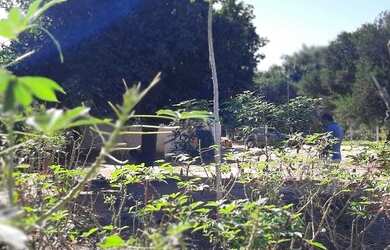 Imagem 4: Negocio em Aquidauana. 450m² de Área