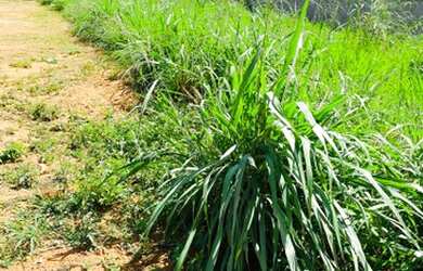 Imagem 6: Lote/Terreno para venda possui 410 metros quadrados