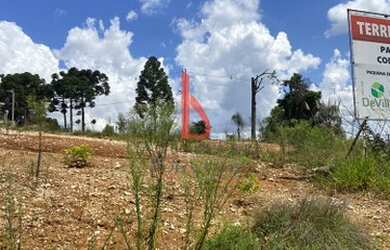 Imagem 16: Terreno 181 metros quadrados Jardim Roma - Almirante Tamandaré - Região...