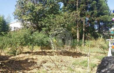 Imagem 7: Terreno com ótima localização para venda-Vila Antonio