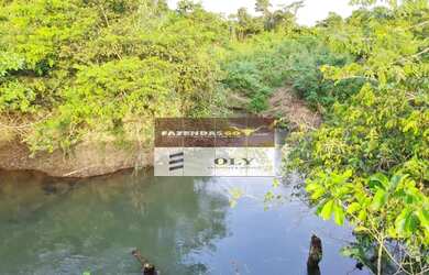 Imagem: A fazenda está localizado em Nossa Senhora da Penha, Goianésia