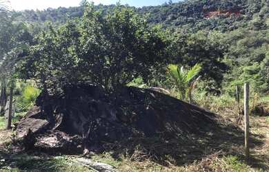 Imagem: Fazenda/Sítio/Chácara para venda tem 720000 metros quadrados