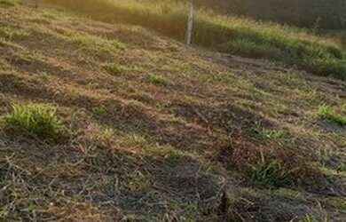 Imagem 7: Lote/Terreno para venda com 600 metros quadrados em São João - Itapevi...