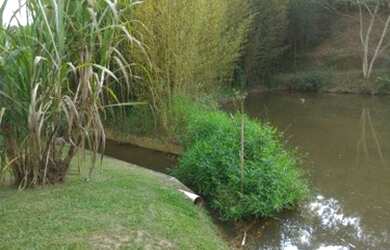 Imagem 4: Nazaré Paulista - Chácara - Municipal dos Ferreiras