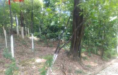 Imagem 6: Terreno para Venda em CHÁCARA SANTA INES Santa Luzia-MG