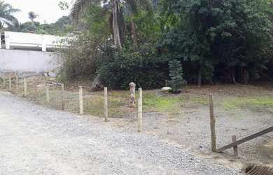 Imagem 4: Terreno para investidores na Praia do Estaleirinho, Balneário Camboriú,...