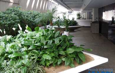 Imagem 6: CONJ. COMERCIAL - PARAÍSO - SP