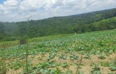 Imagem 10: Lote/Terreno para venda com 600 metros quadrados em Jardim Helena - Carapicuíba...