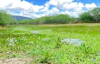 Imagem 5: Oportunidade de Fazenda na Região de Santa Terezinha