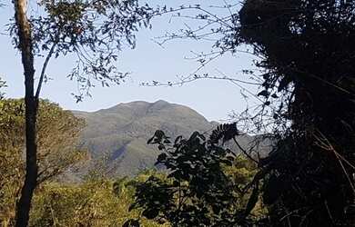 Imagem: O terreno possui 20.000m² de Área e está localizado em Quatro