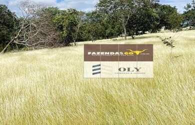 Imagem 4: Fazenda Extra 291 Alq- Região Luiz Eduardo Magalhães com Taguatinga-TO