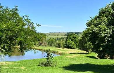 Imagem 12: Sitio Santa Lúcia 7,13 Alq por R$ 1.250.000,00