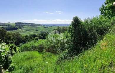 Imagem 6: Área de terra no interior de Monte Belo do Sul