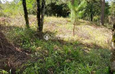 Imagem 10: Terreno de 430 m2 no Bairro Vivendas do Arvoredo