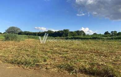 Imagem 3: área - Betel - Paulínia