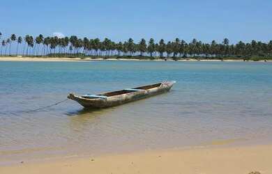 Imagem 10: Casa com 4 dormitórios para alugar, 320 m² por R$ 6.368,33/mês - Barra do Jacuípe - Barra