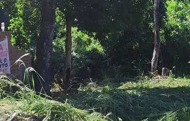 Imagem 3: ? OPORTUNIDADE NA ZONA NORTE - TERRENO À VENDA! ?