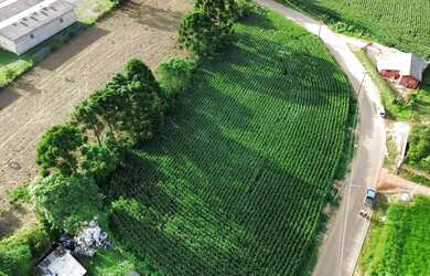 Imagem 2: Área 5.600 m² para venda em Almirante Tamandaré