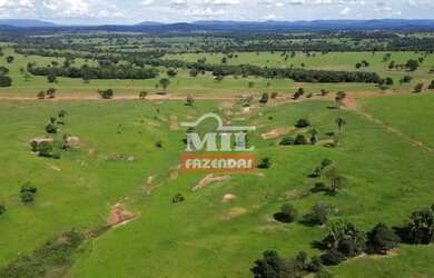 Imagem 2: Fazenda 197 alqueires 953,48 hectares Novo Brasil - Go