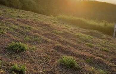 Imagem 4: Terreno plano. 600m² de Área