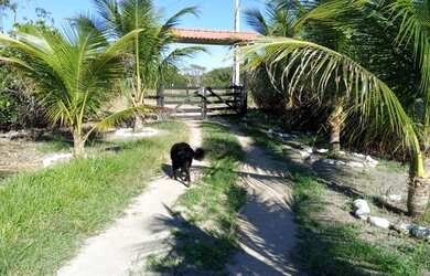 Imagem: A fazenda possui 30m² de Área e está localizado em Largo