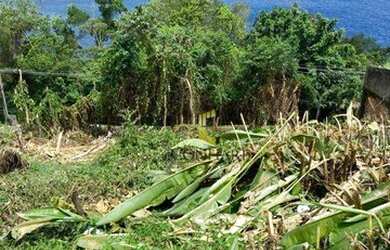 Imagem 2: Terreno à venda, 1500 m² por R$ 650.000,00 - Portogalo - Angra dos Reis/RJ
