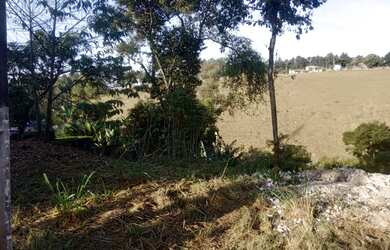 Imagem 3: Terreno / Lote para venda com 800 metros quadrados em Casa da Lua - Resende...