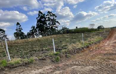 Imagem 10: Lote/Terreno para venda com 600 metros quadrados em Centro São João...
