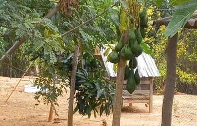 Imagem 12: Chácara 5 Mil Metros CASA LINDA a 18 km de Montes Claros Saída Bocaiuva