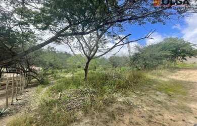 Imagem: O terreno possui 1000m² de Área e está localizado em São