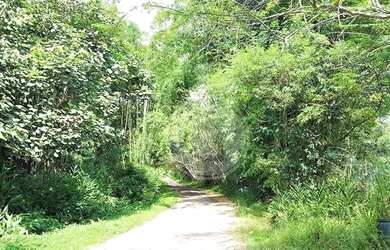 Imagem 5: Área à venda, 5324 m² por R$ 450.000,00 - Vila Hortência - Cotia/SP