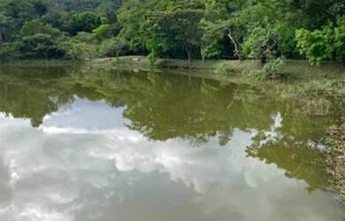 Imagem: O terreno possui 743m² de Área e está localizado em Barreiro