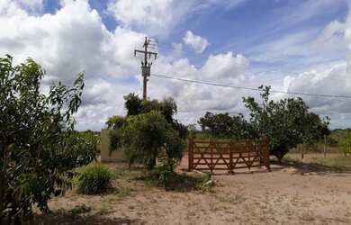 Imagem: A fazenda possui 3.000m² de Área e está localizado em Ceará-Mirim