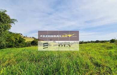 Imagem: A fazenda está localizado em Nossa Senhora da Penha, Goianésia