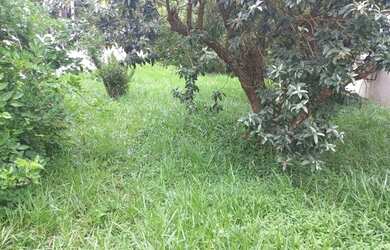 Imagem 11: Terreno a venda na Granja Viana Condominio Reserva Santa Maria