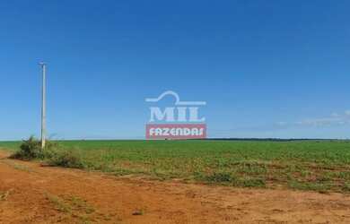 Imagem 12: Fazenda no Vale do Araguaia-MT. gt 1.598 Há. Excelente p/ Lavoura