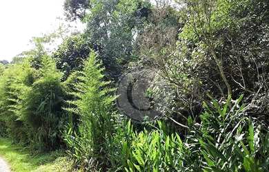 Imagem 4: Área à venda, 5324 m² por R$ 450.000,00 - Vila Hortência - Cotia/SP