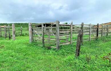 Imagem 6: Fazenda de 60 Tarefas - Lagarto