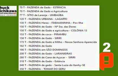 Imagem 10: Fazenda de 60 Tarefas - Lagarto
