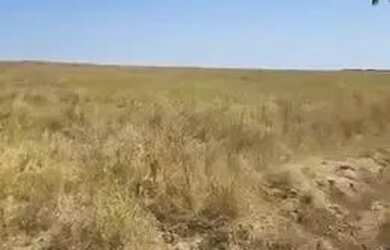 Imagem 5: Fazenda De 1.432 Hectares Região São Félix Do Araguaia/MT