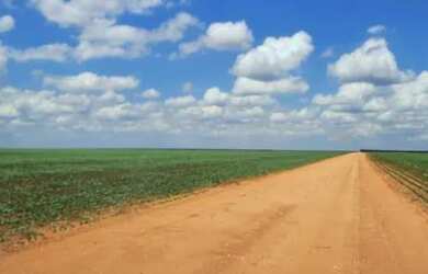 Imagem: A fazenda está localizado em Auriflama, SP à venda por R$6.000.000