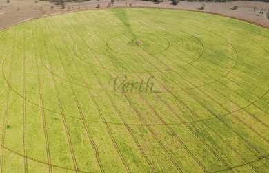 Imagem 10: Fazenda com pivô em Unaí em Minas Gerais, à venda com 125ha