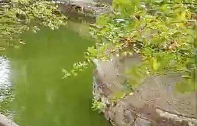 Imagem: A chácara possui 2.600m² de Área e está localizado em Itapemirim