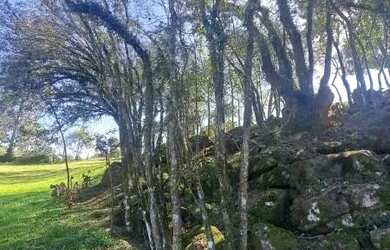 Imagem 10: Terreno Arcoverde Carlos Barbosa