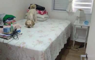 Imagem 7: Apartamento com 2 dormitórios, 50 m² - venda por R$ 320.000,00 ou aluguel...