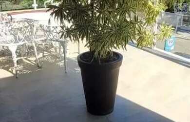 Imagem 8: Imóvel para aluguel possui 250 metros quadrados com 5 quartos