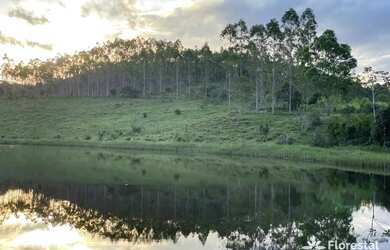 Imagem 8: Fazenda à venda, 897336 m² por R$ 3.500.000,01 - Zona Rural - Itanagra/BA